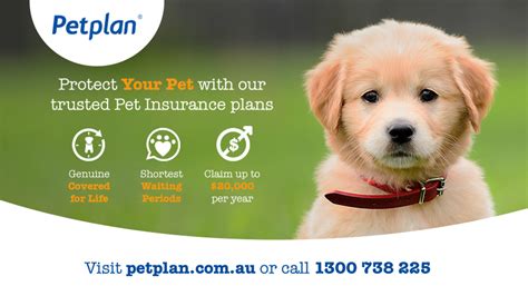 petplan insurance phone number.